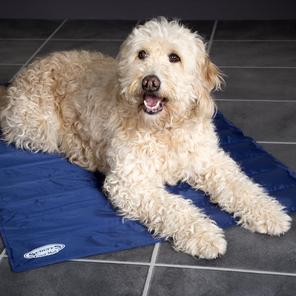 Scruffs Dog Cool Mat Dog Cooling Mat Pet Cool Mat petslovescruffs