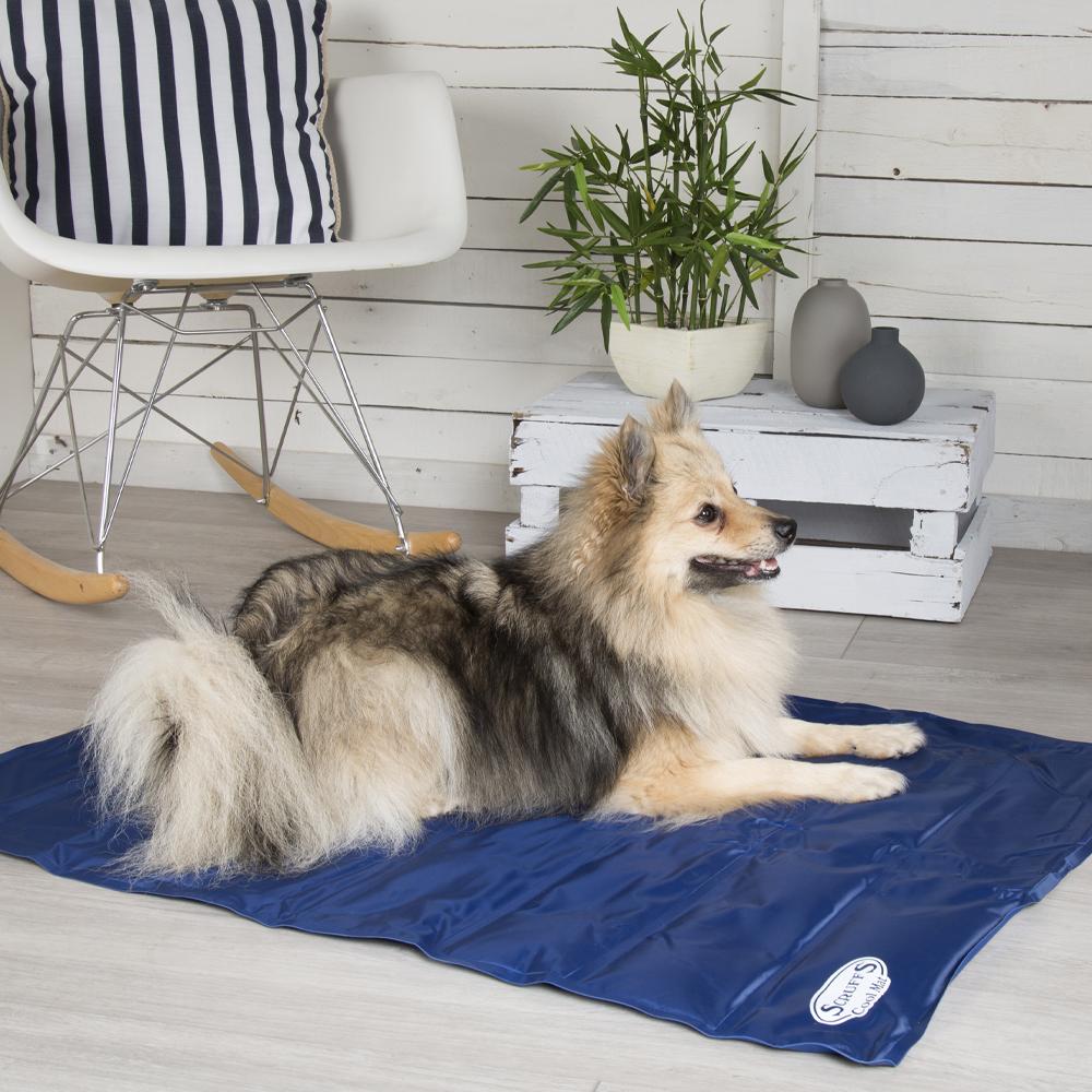 Scruffs Dog Cool Mat Dog Cooling Mat Pet Cool Mat petslovescruffs