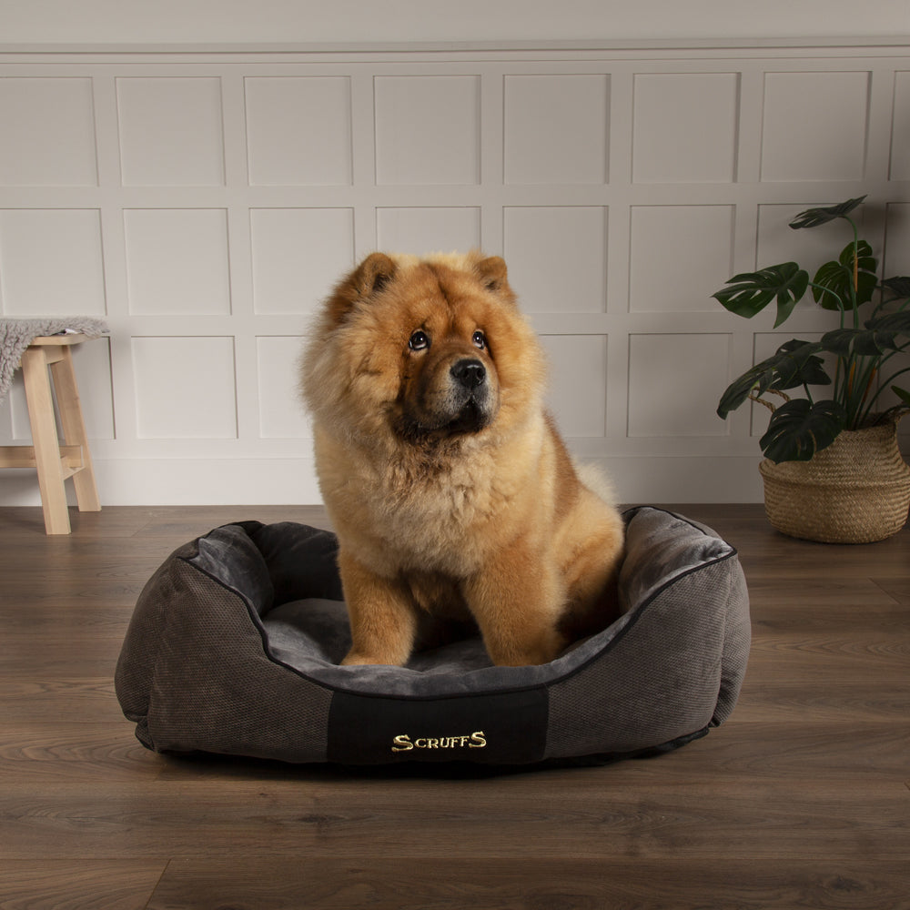 Charlie chow dog beds hotsell