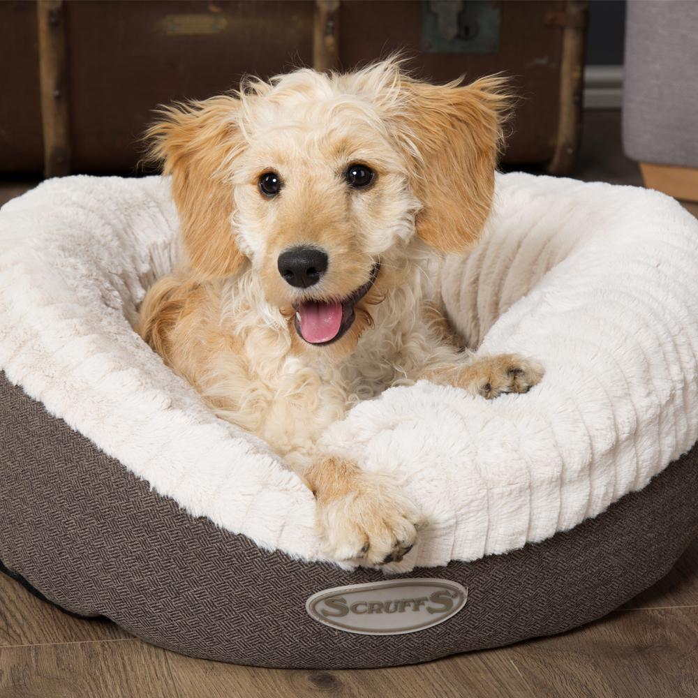 Ellen Donut Bed - Grey Dog Bed Scruffs® 